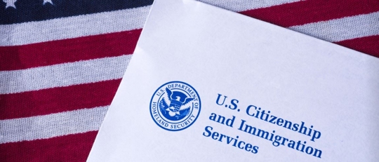 Flag and USCIS logo